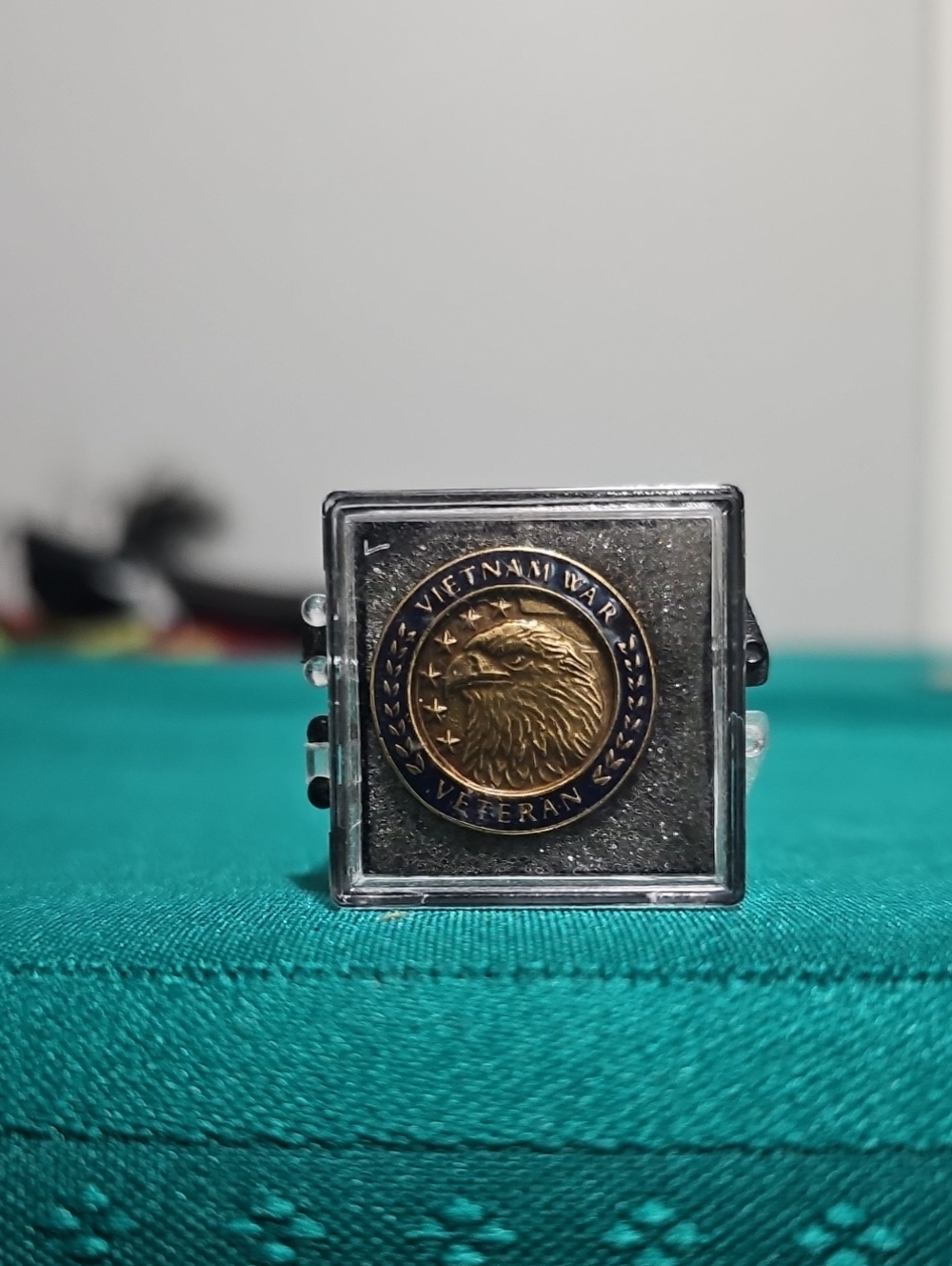 Vietnam War Veteran Eagle Pin - Brass & Black